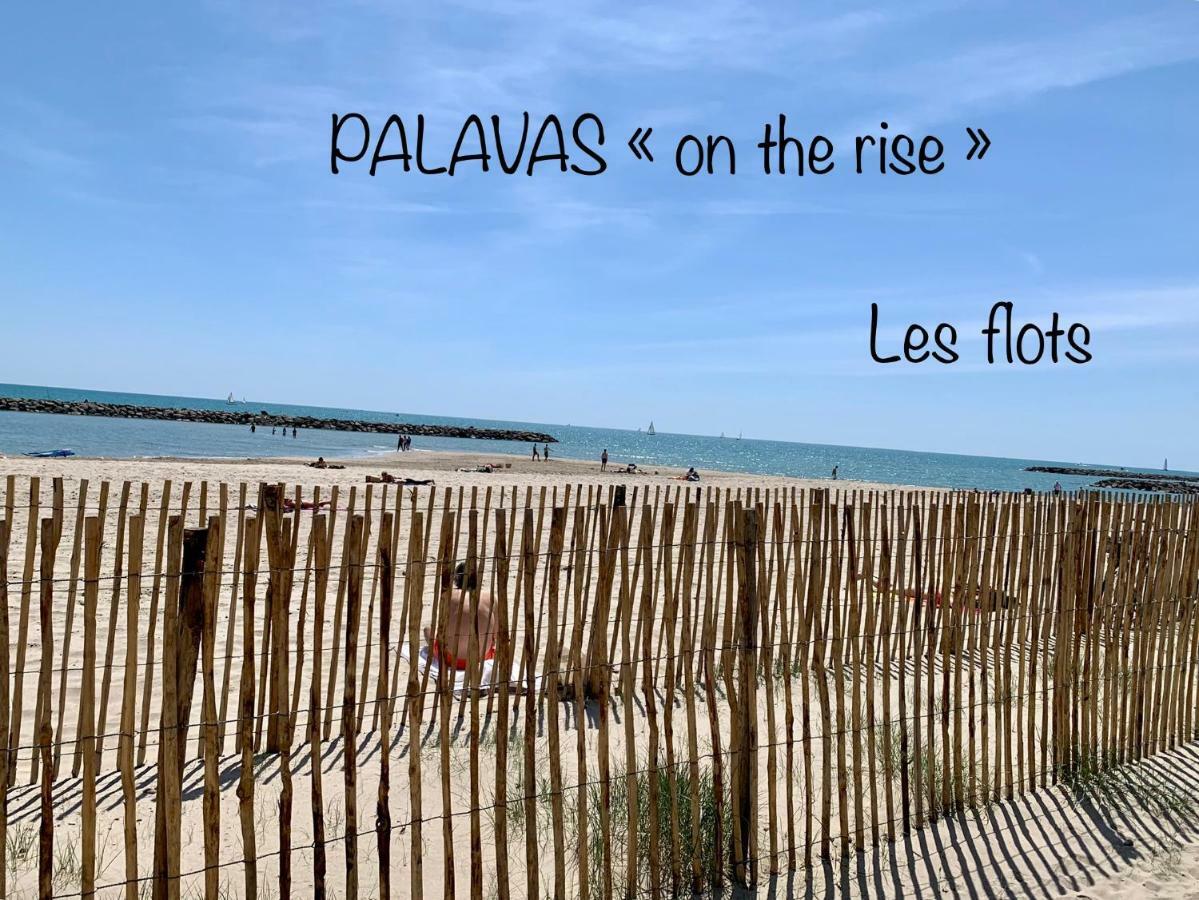 Amerique Hotel Palavas - Piscine - Plage Екстериор снимка